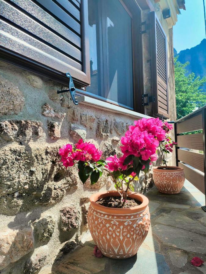 The Stone House Hébergement de vacances